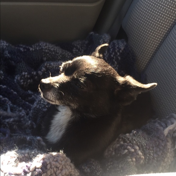 Meet Your Posher, Cindy - Picture 5 of 6